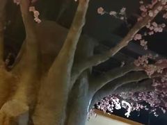 -沐熙汤泉(新安里店)