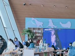 -抱抱地球咖啡馆(国家海洋博物馆店)