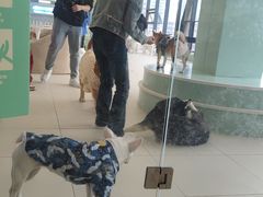 -怪兽屋·羊驼·猫咖·狗咖(俊华广场店)