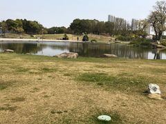 -滆湖低碳生态公园