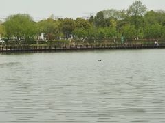 -九里河湿地公园
