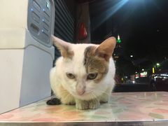 -PHO·5越南牛肉粉(建新路店)