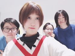 -大象造型