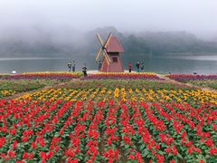 -广州市石门国家森林公园
