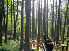 -波尔登森林公园