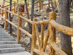 -白水寺森林公园