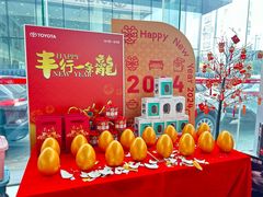 -合肥通源一汽丰田4S店(包河花园店)