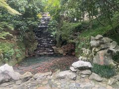 -十八棵（老龙井）御茶园(老龙井店)