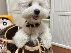 -中粮·祥云小镇