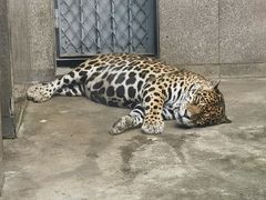 -西安秦岭野生动物园
