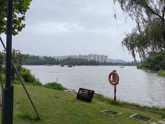 -洋湖国家湿地公园
