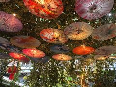 -海韵人家.海景花园经典云南菜(双廊店)