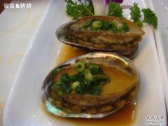 小鲍鱼-海岛渔村大酒店(云霄路店)