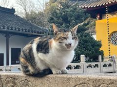 -西园戒幢律寺