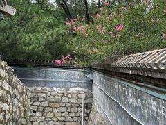 -白水寺森林公园