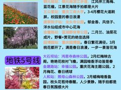 -观音桥步行街