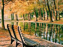 -上海共青森林公园