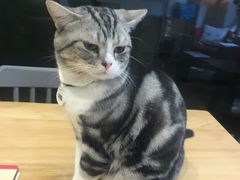 -咖法森林·咖啡  酒吧(天河店)