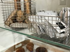-常识咖啡common sense(春熙路店)