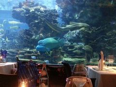 android_upload_pic-迪拜帆船酒店海底餐厅