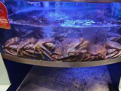 -七欣天香辣蟹火锅(常州丰臣国际广场店)