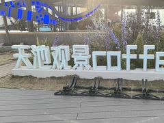 -江南天池