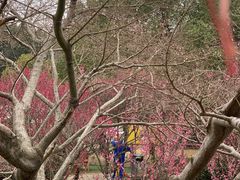 -白马涧龙池景区