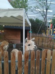 -萌宠亲子动物乐园(槐房万达店)