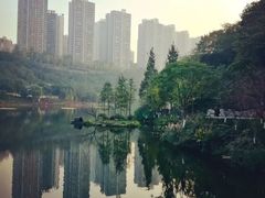 -重庆彩云湖湿地公园