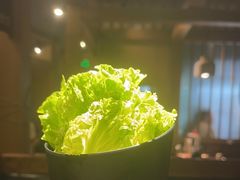 -九田家黑牛烤肉料理(新辰里亚运村店)