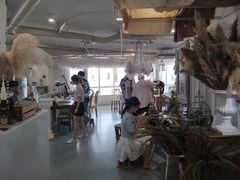 -共舞时光猫咖·狗咖(新街口店)