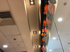 -麦当劳(新世纪环球中心店)