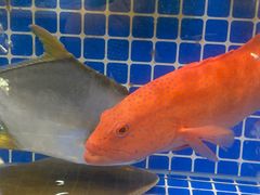 -从前慢海鲜面馆