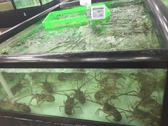 -盒马渔市餐厅