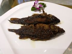-渝信川菜(南滨店)