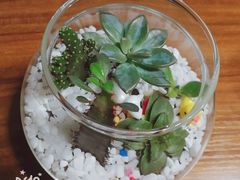 -A+匠心DIY手工坊·首饰·微景观