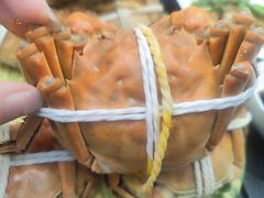 -蟹天蟹地农家菜·阳澄湖大闸蟹(浅水湾店)