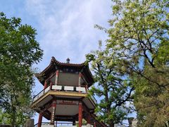 -莲花池公园