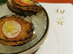 冰镇鲍鱼-初花·日本料理