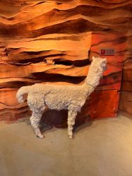 -酷嗒动物文化乐园(cutezoo西溪乐天城店)