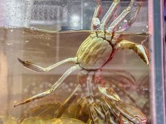 -二钳洞庭虾蟹·江湖菜(成都鹭岛店)