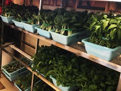-好口福私房菜(太元路店)