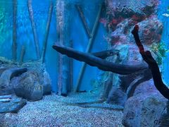 -正佳极地海洋世界