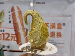 -野人先生现做冰淇淋(西安赛格店)