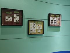 -上海昆虫博物馆