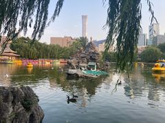 -团结湖公园