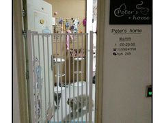 -我爱猫咪·猫咖·狗咖·安哥拉兔·羊驼咖(小寨华旗店)