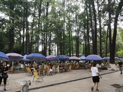 -绵阳人民公园(涪城区)