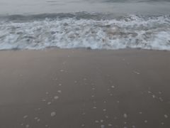 -日照海滨国家森林公园