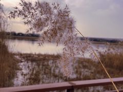 -绿堤公园